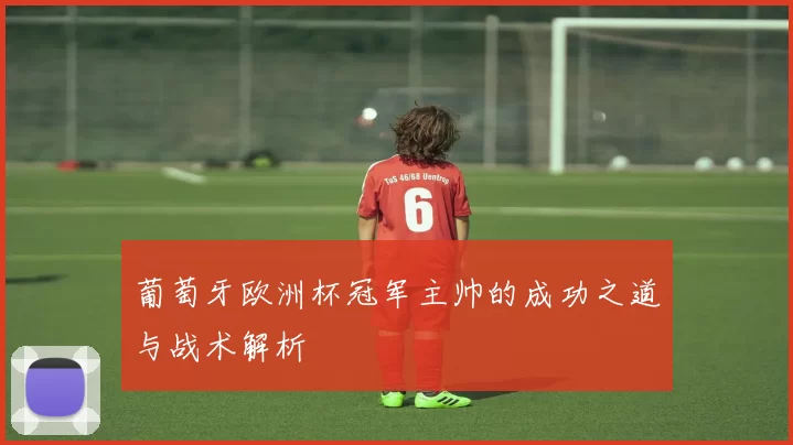 葡萄牙欧洲杯冠军主帅的成功之道与战术解析
