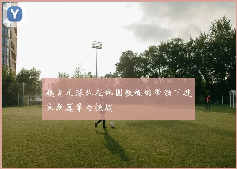 越南足球队在韩国教练的带领下迎来新篇章与挑战